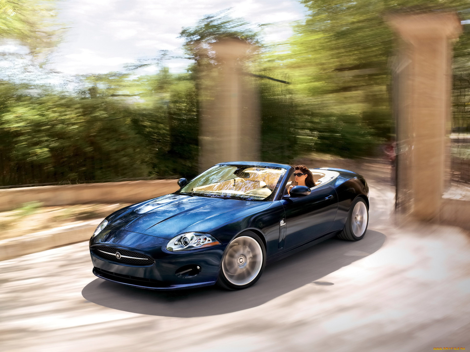 , jaguar